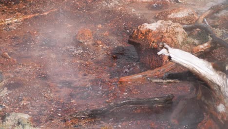 closeup of black pit spring in yellowstone