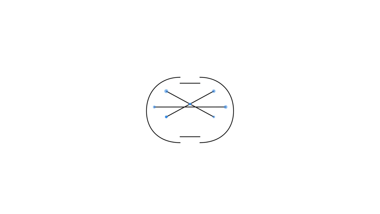 Grafica Animata Minimalista di Linee e Punti Connessi