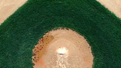 4k drone footage baseball field the colors of fall, big red and orange leaves scatter the pitcher’s mound rise into the sky to see the diamond below