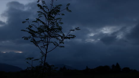 silueta oscura de árbol de ceniza, azul se puede mover durante el anochecer, paisaje de montaña