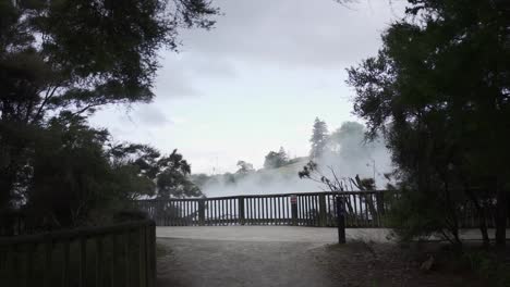 geothermal area with steaming water