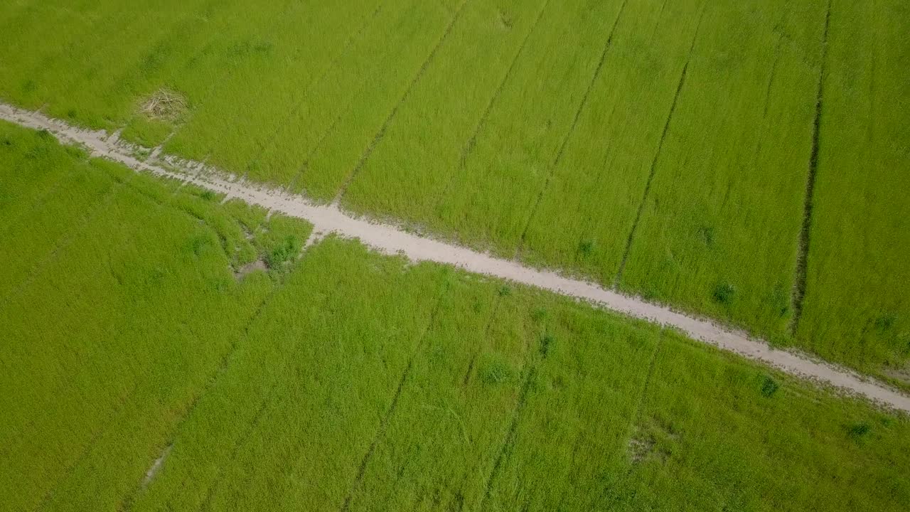 vista aérea de drones del hermoso camino en medio de los campos de hierba