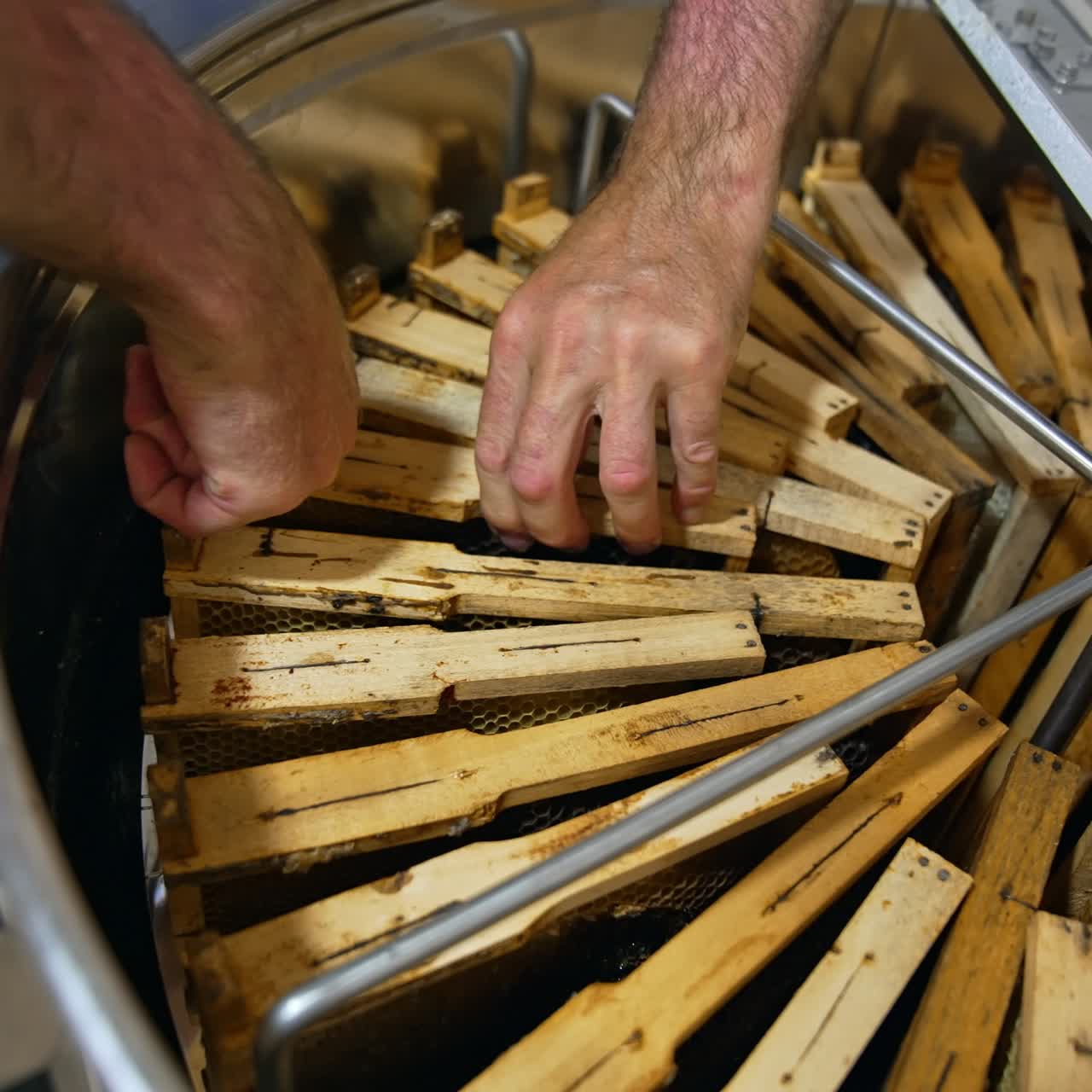 Male apiarist inserts the wooden frame among others inside the centrifuge. Honey harvesting period at apiary using technology
