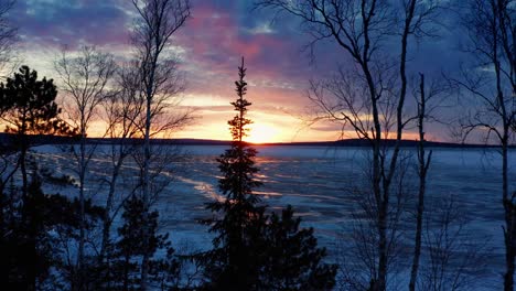 aerial, dramatic sunset at frozen lake during winter, flying through pine trees