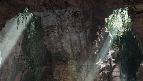 sunlight streams through the entrance of a hidden cave in a lush jungle.