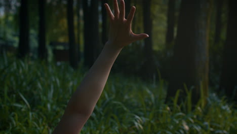 person's arm reaches upward in a forest