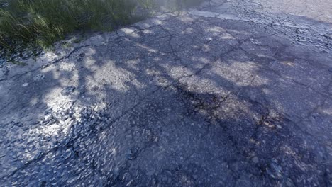 cracked pavement with grass and shadows