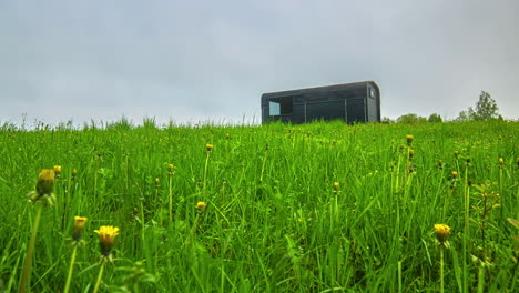 timelapse of a dandelion field and a sauna on top of a green hill