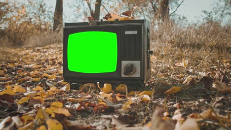 old fashioned tv with green screen.