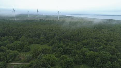 aerial view of wind turbines in a foggy forest