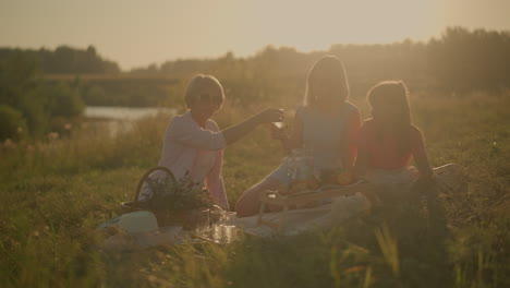 family enjoying outdoor picnic on sunny day, elderly woman handing cup of water to another woman and young girl while seated on picnic mat with snacks, fruits, and wicker basket