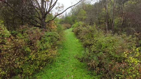 FPV-of-green-path-in-mountains