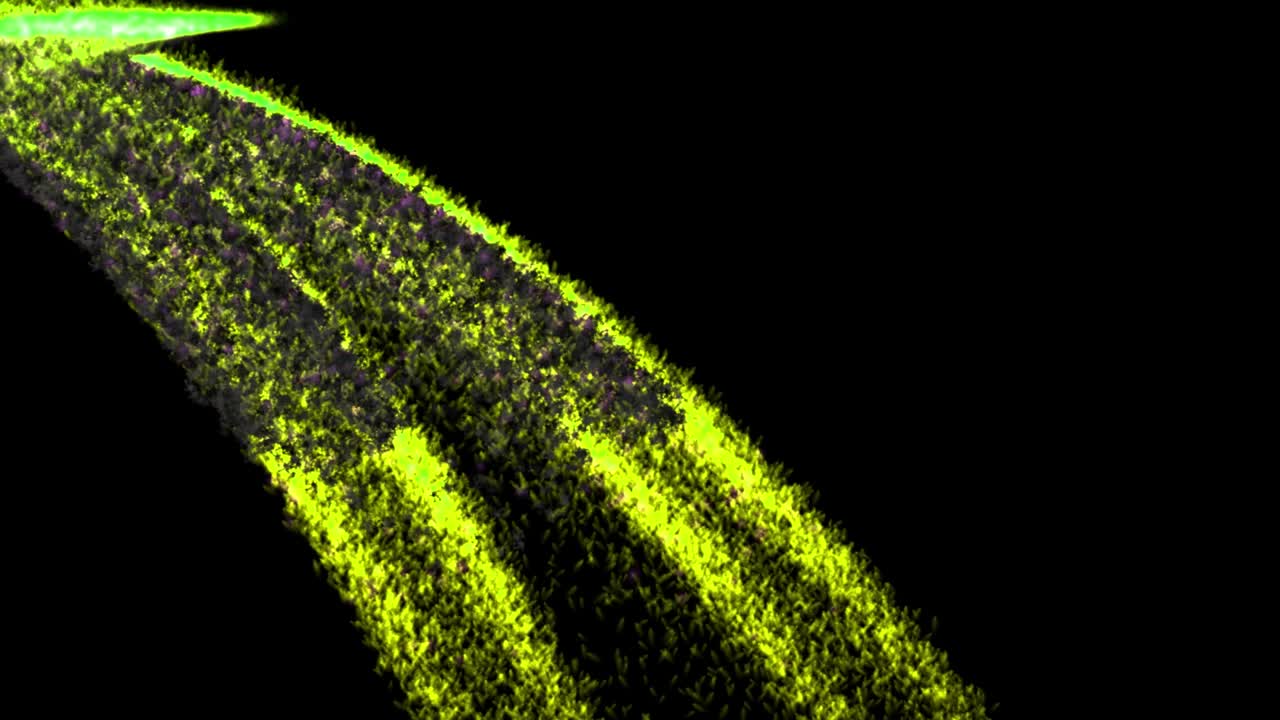 불꽃 컬러 입자 애니메이션 모션 그래픽