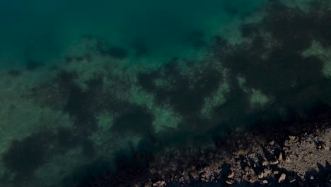 drone view of carlsbad lagoon shoreline