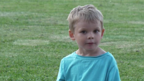 young caucasian boy standing shy but happy isolated on green grass