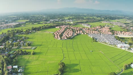 land or landscape of green field in aerial view for sale or investment in chiang mai of thailand.