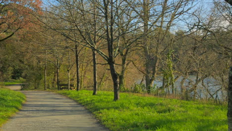 Wunderschöner-Landschaftsblick-Mit-Blattlosen-Bäumen-Und-Gräsern-In-Einem-Waldpark-Tagsüber-Am-See-Etang-Saint-Nicolas,-In-Angers,-Maine-et-Loire,-Frankreich-–-Schwenk-Nach-Links