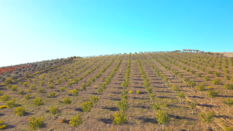 Aerial-shot-of-going-up-a-hill