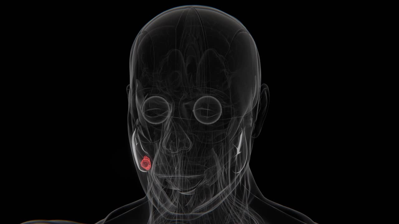 Salivary Gland Cancer Cell in Vertical HQ Video | Salivary Gland Cancer Cell Indication X-Ray Video