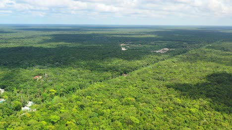 Panorámica-Aérea-De-La-Vasta-Jungla-Interminable-En-Tulum-México-Durante-El-Soleado-Día-De-Verano