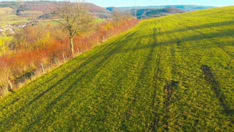 flight along a hiking trail in the fields on a sunny day