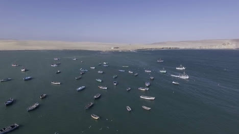 aerial drone shot of the sea coast with small fishing boats with birds and seagulls around