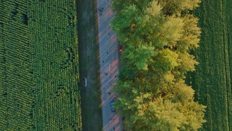 aerial view of a road through fields