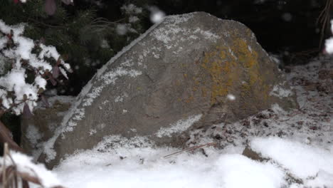 La-Nieve-Esponjosa-Cae-Suavemente-En-Cámara-Lenta-Sobre-La-Roca