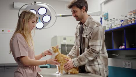 A-brunette-guy-in-a-checkered-shirt-together-with-his-red-cat-and-in-a-veterinary-clinic-are-being-examined-by-a-blonde-veterinarian-girl-and-stroking-his-cat