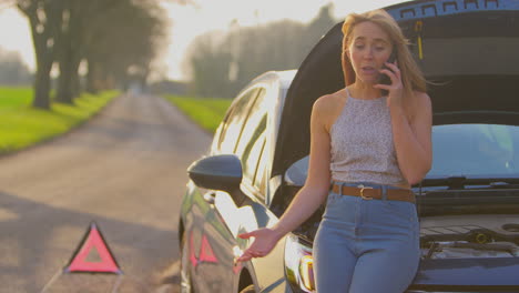 Señal-De-Triángulo-De-Advertencia-De-Peligro-Para-Avería-Del-Coche-En-La-Carretera-Con-Una-Mujer-Pidiendo-Ayuda