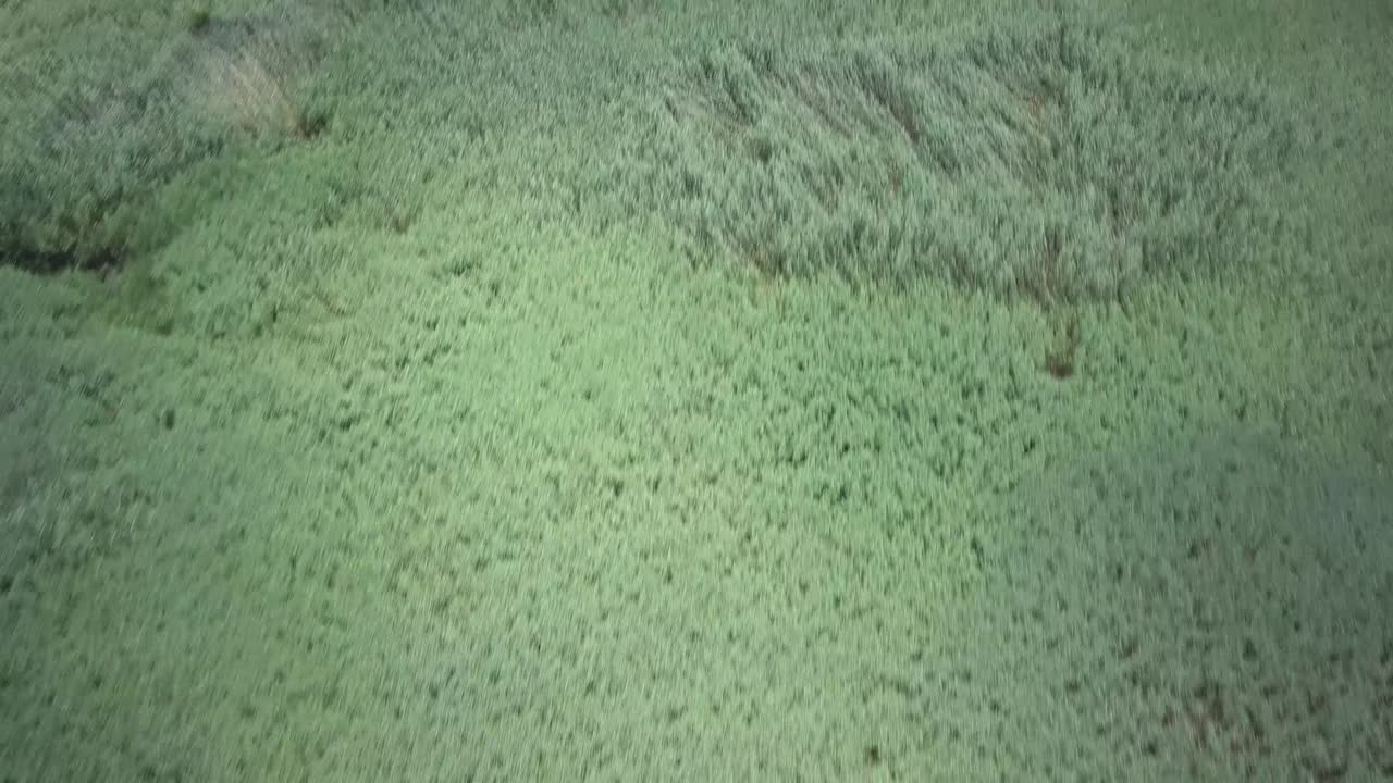 델라웨어의 강 위를 날고 있는 드론