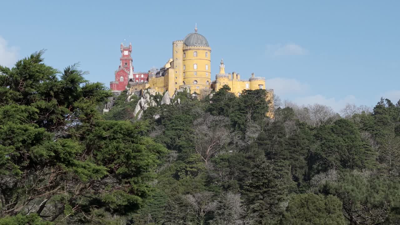 Pena Park trees reveals the Pena Palace at top of Sintra mountains under clear blue sky, Low angle shot