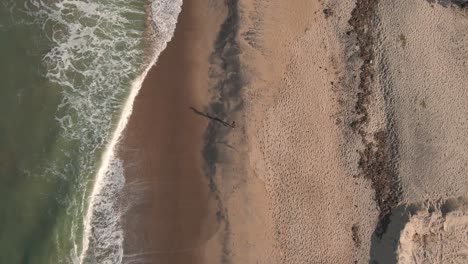 arial drone shot of person running on the beach with long shadows