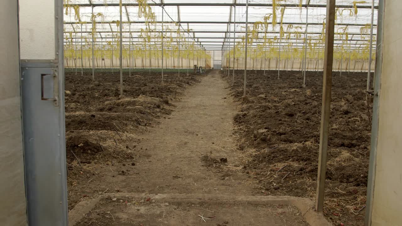 슬라이딩 도어 오프닝은 케냐의 큰 온실을 드러니다.