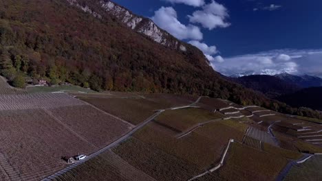 flight over the vineyards in autumn