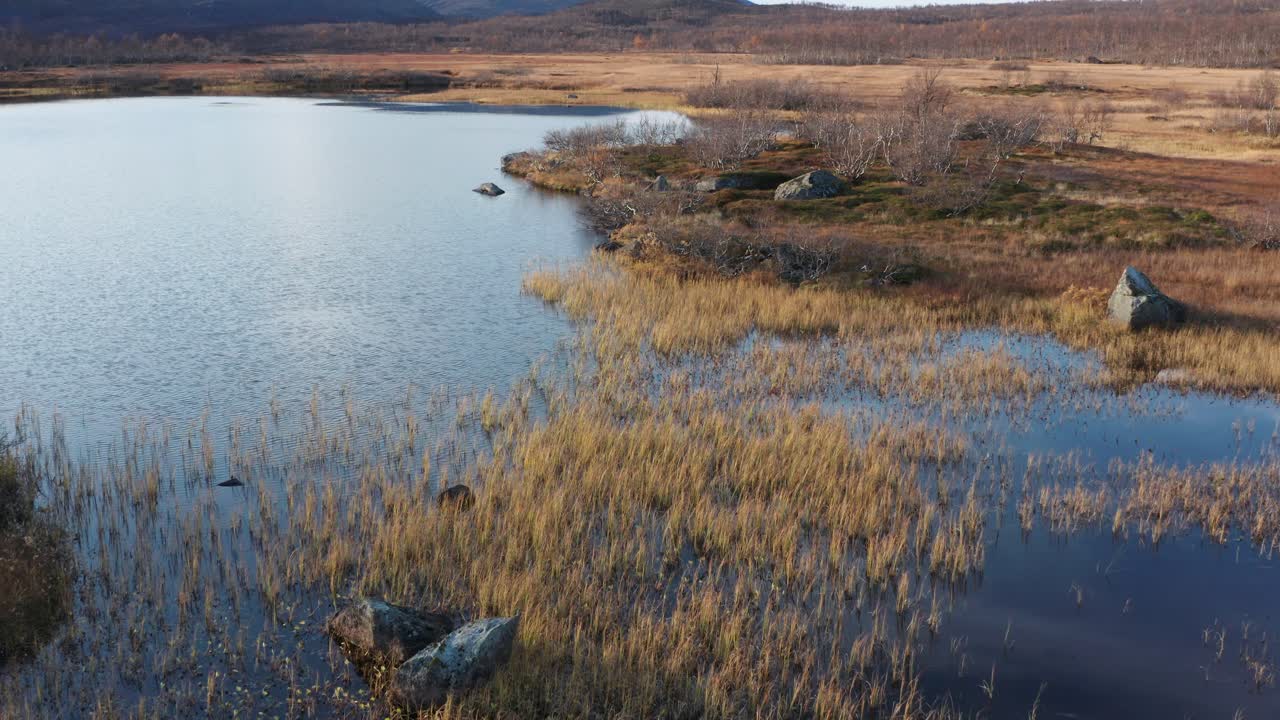 Aerial view of the lake in the marshland