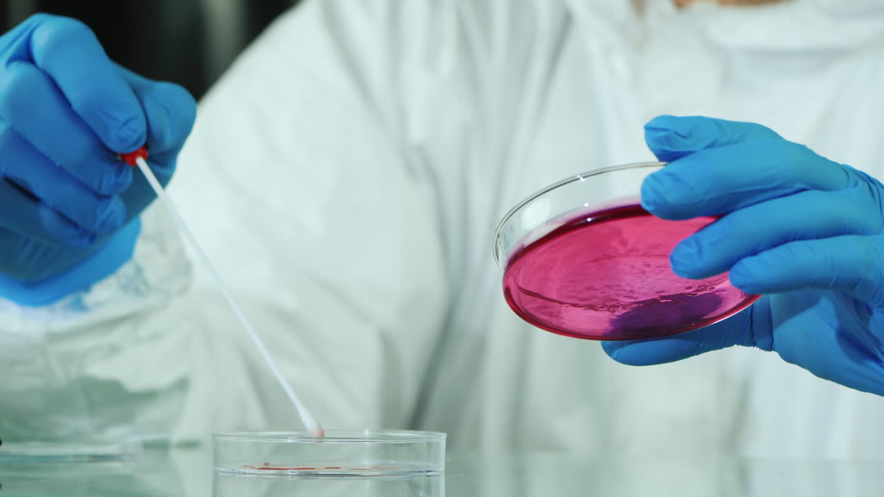 Microbiological research in a laboratory 1