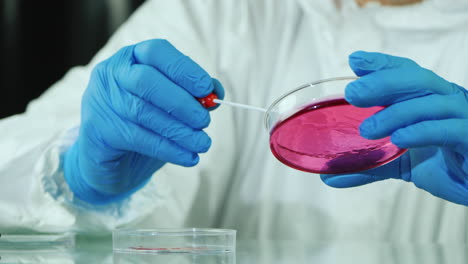 investigación microbiológica en un laboratorio 1