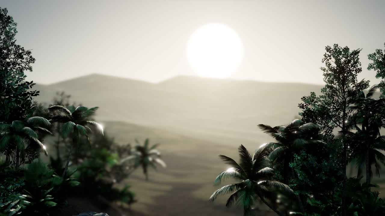 palmeras de coco paisaje tropical