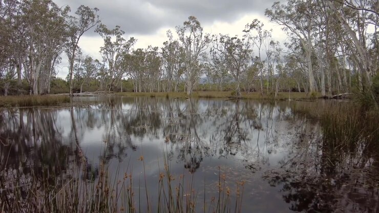 Bellissimo lago nel Parco Nazionale dei Grampiani nel Victoria, Australia, con alberi che si riflettono nell'acqua calma