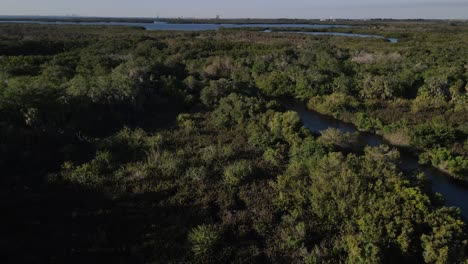 Aerial-heading-to-Williams-Bayou,-Terra-Ceia-state-park-Palmetto,-Florida