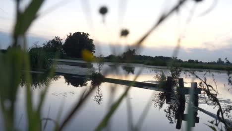 Eine-Aufnahme-Der-Niederländischen-Sümpfe,-Die-Einen-Kleinen-Deich-Zeigt,-Der-Einen-Größeren-Fluss-Von-Den-Kleineren-Kanälen-Trennt