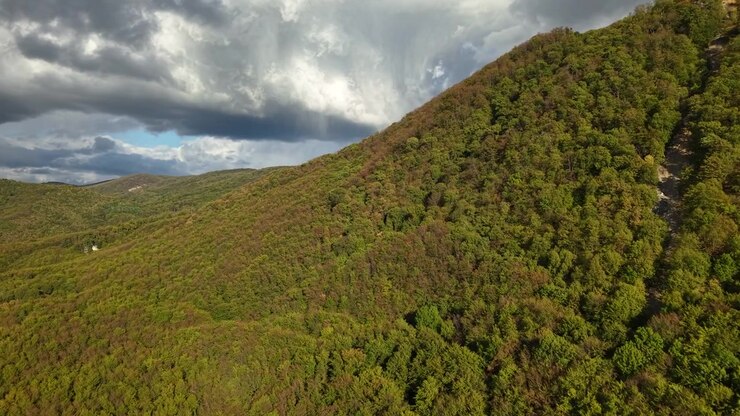 Una vista aerea di una vibrante catena montuosa verde coperta da una fitta foresta durante un drammatico e nuvoloso tardo pomeriggio