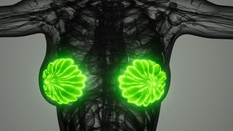 exploración médica del cáncer de mama de la mujer