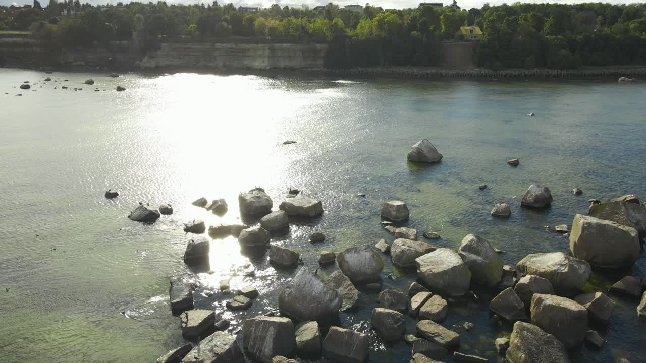 Top down aerial view cormorants flying by and stand perched on scattered outcropping rocks in sunny coastal sea water, transparent green seaweed seabed. Backward moving reveals limestone cliffs, trees