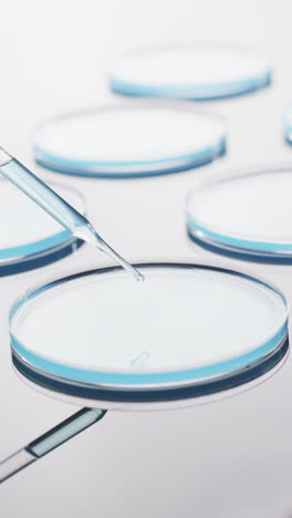 vertical video of laboratory pipette and round glass dishes with copy space on white background