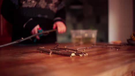 trimming hardwood cuttings for plant propagation in winter