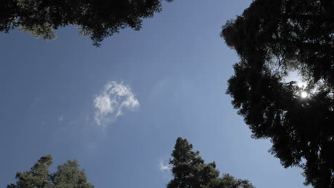 Zeitraffer-Von-Sternenspuren-Wolken-Und-Vollmond-Steigen-Durch-Einen-Wald-Am-Jackson-Wiesen-Stausee-1