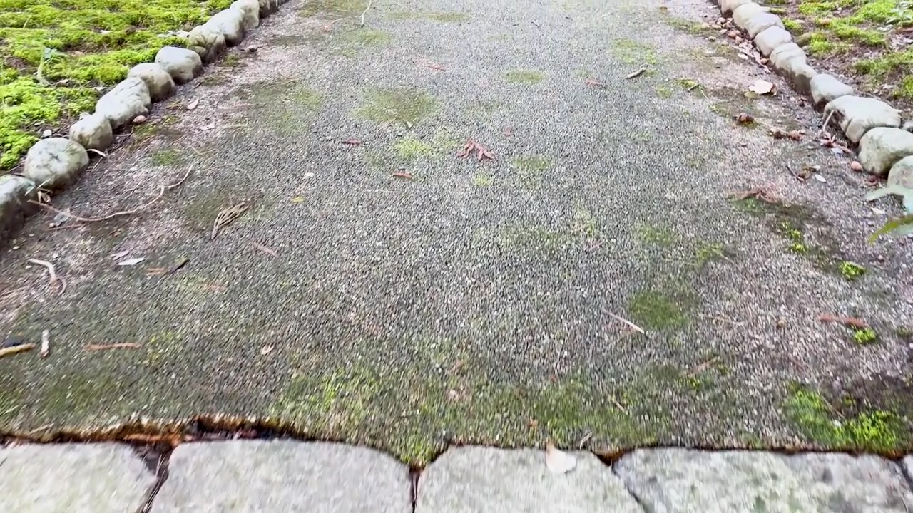 Low angle tracking shot moving up traditional granite steps along a mossy garden path