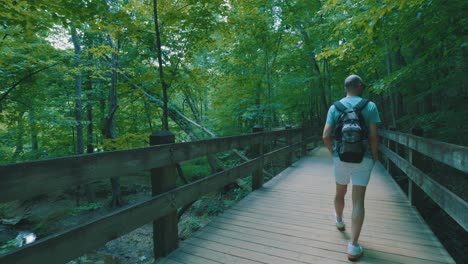 a man walks along a bridge, embedded deep within a thick green forest